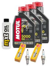 Kit d'inspection 3L 10W-40 + filtre à huile + 2 bougies pour Suzuki DL V-Strom SV S SF 650 ccm Année 2017