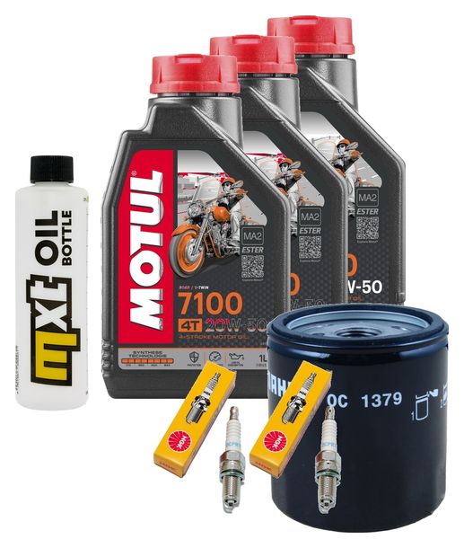 Inspektionspaket 3L 20W-50 + Ölfilter + 2x Zündkerze für Harley Davidson XL Forty-Eight XL NS IRON XLX Sportster Forty Eight 1200 / 1203 ccm Bj. 2018 - 2021