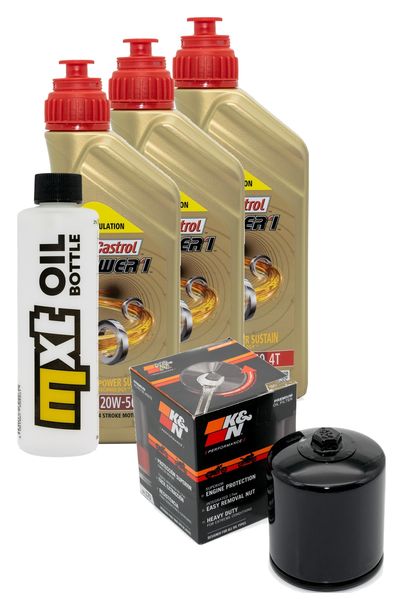 Inspektionspaket 3L 20W-50 + Ölfilter + 2x Zündkerze für Harley Davidson XL Forty-Eight XL NS IRON XLX Sportster Forty Eight 1200 / 1203 ccm Bj. 2018 - 2021