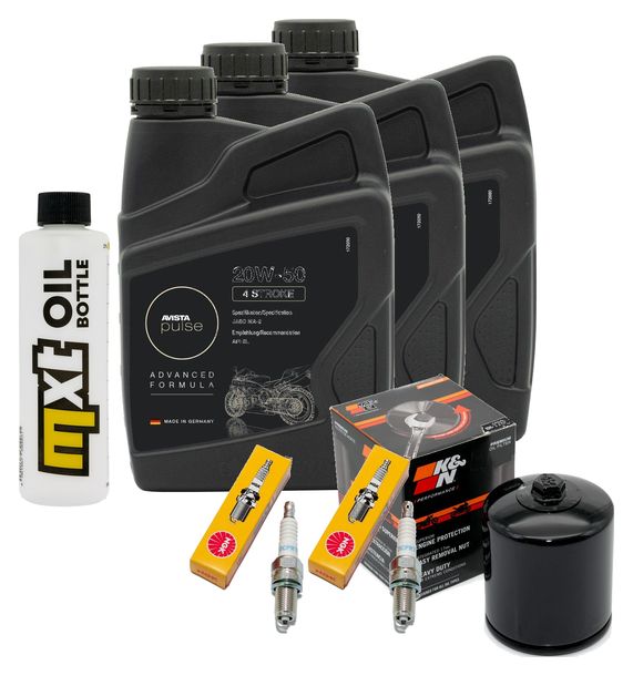 Inspektionspaket 3L 20W-50 + Ölfilter + 2x Zündkerze für Harley Davidson XL Forty-Eight XL NS IRON XLX Sportster Forty Eight 1200 / 1203 ccm Bj. 2018 - 2021