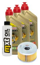 Paquete de inspección 3L 10W-40 + filtro de aceite + 1x bujía para Suzuki LS Savage P 650 ccm Año 2001