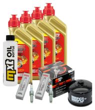 Inspectiepakket 4L 5W-40 + Oliefilter + 2x Bougie voor BMW R GS 1250 ccm Bj. 2019 - 2020