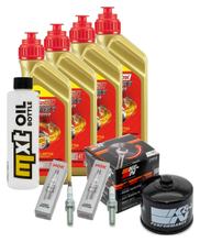 Inspektionspaket 4L 5W-40 + Ölfilter + 2x Zündkerze für BMW R GS 1250 ccm Bj. 2019 - 2020