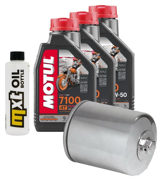 Inspektionspaket 3L 20W-50 + Ölfilter + 2x Zündkerze für Harley Davidson FXDL Dyna Low Rider 1584 ccm Bj. 2009
