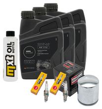 Inspection package 3L 20W-50 + oil filter + 2x spark plug for Harley Davidson FXDL Dyna Low Rider 1584 ccm Year 2009
