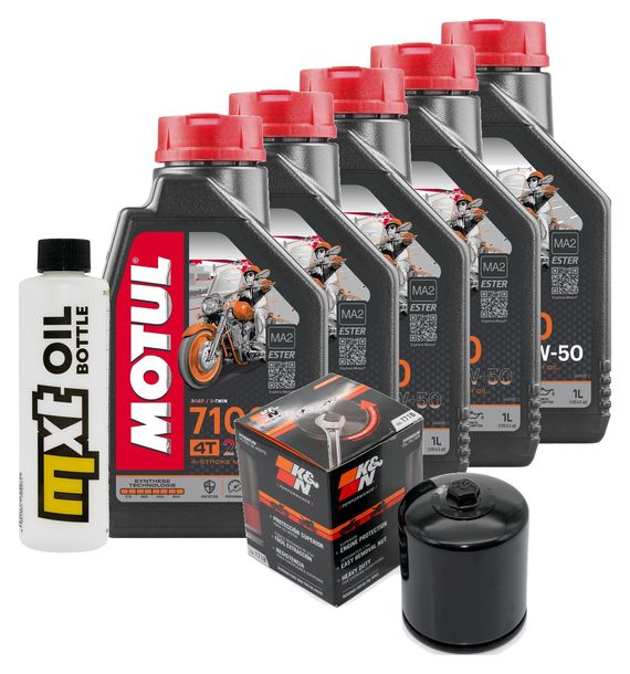 Inspektionspaket 5L 20W-50 + Ölfilter + 2x Zündkerze für Harley Davidson FLFBS Softail Fat Boy FXFBS Bob 1868 ccm Bj. 2018