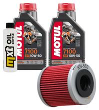 Paquete de inspección 2L 10W-50+filtro de aceite para Aprilia RXV 550 ccm Año 2013