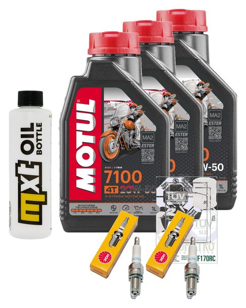 Inspektionspaket 3L 20W-50 + Ölfilter + 2x Zündkerze für Harley Davidson Sportster Roadster XLCX 1200 ccm Bj. 2016 - 2020