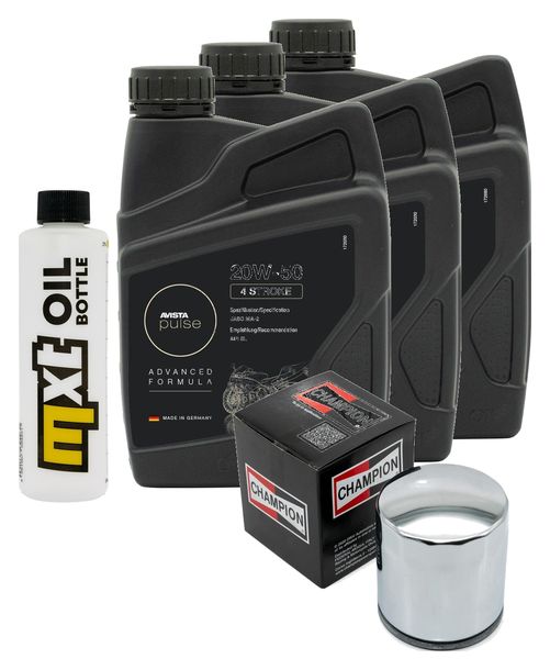 Inspektionspaket 3L 20W-50 + Ölfilter + 2x Zündkerze für Harley Davidson XLX Sportster 1203 Forty Eight 1200 ccm Bj. 2010 - 2011
