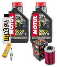 Inspection package 2L 10W-40 + oil filter + 1x spark plug for KTM Duke 125 ccm Year 2021