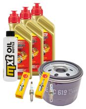 Paquete de inspección 3L 5W-40 + filtro de aceite + 2 bujías para BMW F R 900 ccm Año 2023