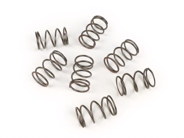 BGM koppelingsveerset voor Vespa PX (-1995), Cosa (-1995), Sprint, Rally, GL, Super, GT, GTR, GS150, GS160, VNA, VNB, VBA, VBB, VB, VL