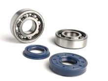Lagersatz BGM Wellendichtringsatz für Kurbelwelle SKF 6204 / C4 Metallkäfig Minarelli 50ccm