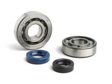 Kit cuscinetti Set guarnizioni albero BGM per Peugeot 50cc (verticale - pompa olio elettrica) Speedfight 2 AC & Lc 50 (2004-), Xfight 50 (2004-)