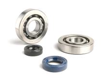 Set guarnizioni albero BGM per Peugeot 50cc (verticale - pompa olio meccanica) Speedfight 1 50 (AC, LC) (-2004), Speedfight 2 50 (AC, LC) (-2004), Metalx 50, Xfight 50, Tkr 50, Trekker 50, Vivacity 50, Buxy 50