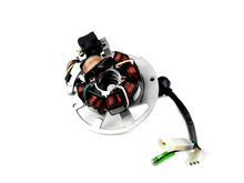 Zündung BGM Grundplatte Euro 2, 6 Kabel Version 1, 1x Einzelstecker, 2x Kombistecker für CPI 50ccm