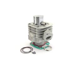 Carenzi Standard AC aluminium 50cc cilinderkit voor Aeon Revo, Tec Runner Dano Trackmaster Adly Vanguard Minikolt Baotian BT49QT-18F1 Tanco Dinli DL603 bouwjaar 1994 - 2008
