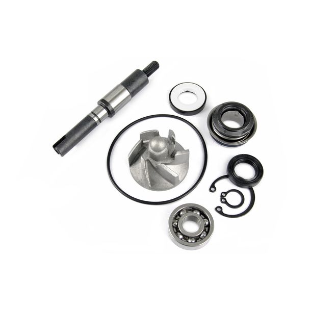 Reparatursatz Wasserpumpe TNT Dichtung für Honda FES Pantheon SES Dylan S-Wing SH NES @ PS i 125 / 150 ccm Bj. 2004 - 2013