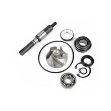 Reparatursatz Wasserpumpe TNT Dichtung für Honda FES Pantheon SES Dylan S-Wing SH NES @ PS i 125 / 150 ccm Bj. 2004 - 2013