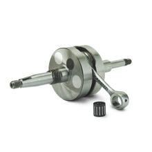 Albero motore Carenzi Standard con cuscinetto a rullini Cuscinetto a perno per Peugeot Ludix 2 Urban Track Snake Furious Professional Elegance Classic New Vivacity Bj. 12