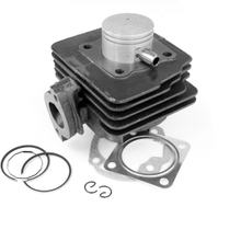 Kit de cilindros TNT Standard AC de hierro fundido gris de 50 cc para Suzuki Sepia, Atala Byte Hacker AC Italjet Velocifero Torpedo Estilete Malaguti Crosser Derbi Vamos Address, año 1999