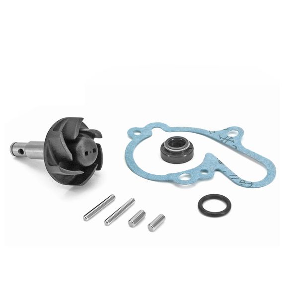 Reparatursatz Wasserpumpe TNT Dichtung für Yamaha TDR R TZR, Malaguti Ciak Rieju RS-1 Peugeot XP6 Supermoto Aprilia RX SYM HD Cruisym i XR7 SMX Pro Tuono Bj. 1989 - 2014
