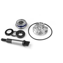 Reparatursatz Wasserpumpe TNT Dichtung für Honda SH i 300 ccm Bj. 2011