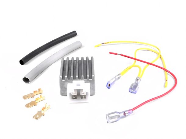 Regolatore di tensione universale BGM a 4 pin 12V AC/DC