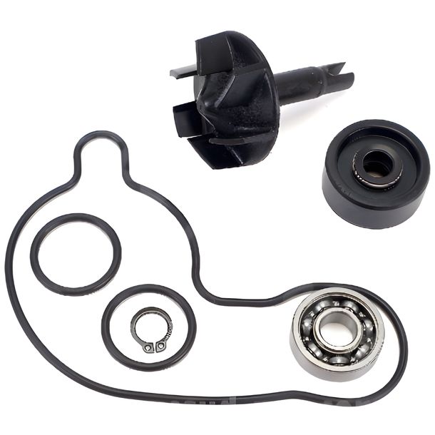 Reparatursatz Wasserpumpe TNT Dichtung für Yamaha X-Max 300 ccm