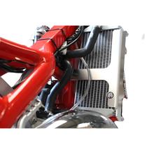 Mřížka chladiče AXP Aluminium pro Beta RR Racing LC Enduro Motard 125 ccm R.v. 2018 - 2021