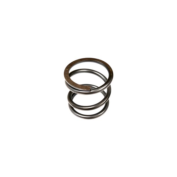 Ressort d'embrayage renforcé Evok Performance pour Vespa 50 - 125cc