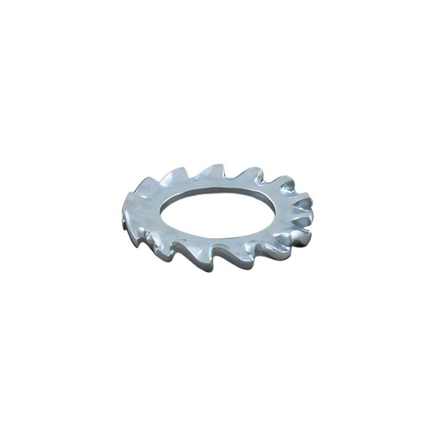 Disco dentato RMS 8mm