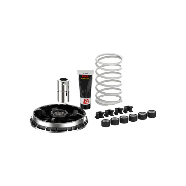 Variomatic Malossi Multivar 2000 25x14.9 mm 11g for BMW C 400 X, C GT 400