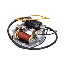 Âncora de Ignição Completa NTS Parts 6V 17W 90mm para Kreidler Florett, Flory, Zündapp, Puch