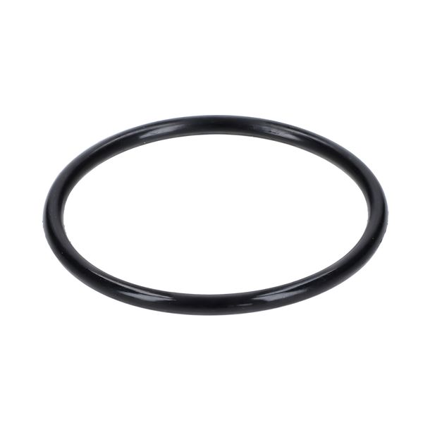 Seal for Bing Carburettor Rubber 22mmx1.5mm Black for Hercules MK, Sachs Engine 501/3 C - NL, 501/4 CF-NL, Zündapp Combinette Type 423, 214, 215, 216, 217, 219, 220, 221, MK 50, Lastboy 222, MP P, Hobby Rider HR 1, Miele K 51, 52, KTM, DKW,