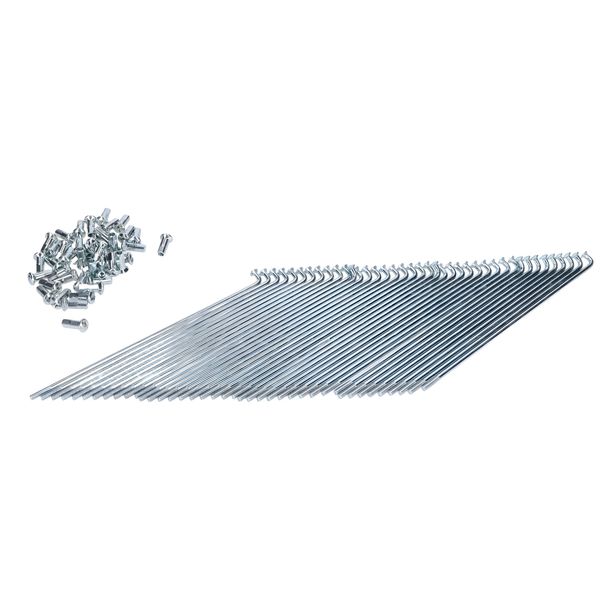 Speichen Chrom 145x2,9mm für Kreidler Flory 25 MF22 2-Gang MF23SL 3-Gang MF12 MF22C MF22CB, Zündapp C Piaggio Ciao P M7E3T Mix Typ C24 PX 50 ccm