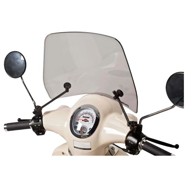Windschild Puig Trafic mit ABE für Daelim Besbi 125 Bj. 2008 - 2020