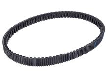V-belt Polini Maxi Belt for Honda PCX 125i, PCX 150i, SH 125i, SH 150i 2021- Euro5