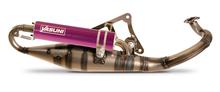 Système d'échappement Yasuni R-Pro avec homologation TUB225-RPRO pour Peugeot Ludix 2 Urban Track Snake Furious, Derbi Paddock AC Professional Elegance Classic LC
