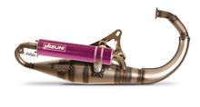 Auspuffanlage Yasuni R-Pro mit Zulassung TUB307-RPRO für Italjet Yankee Pista, Adly Rapido Yamaha BWs Easy MBK Booster Naked One Stunt Zuma Aprilia Amico