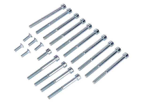 Motorschraubensatz Verzinkt 20-teilig für Hercules Prima, Sachs 505/2 AK S, SF, A NL, B, C, CK, D, DK, DKW, KTM, Rixe