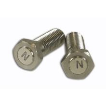 Magnetschrauben (2x) M6x1.00 / 19.7mm (zur Verwendung als Signalgeber) für Gilera Runner / Piaggio NRG
