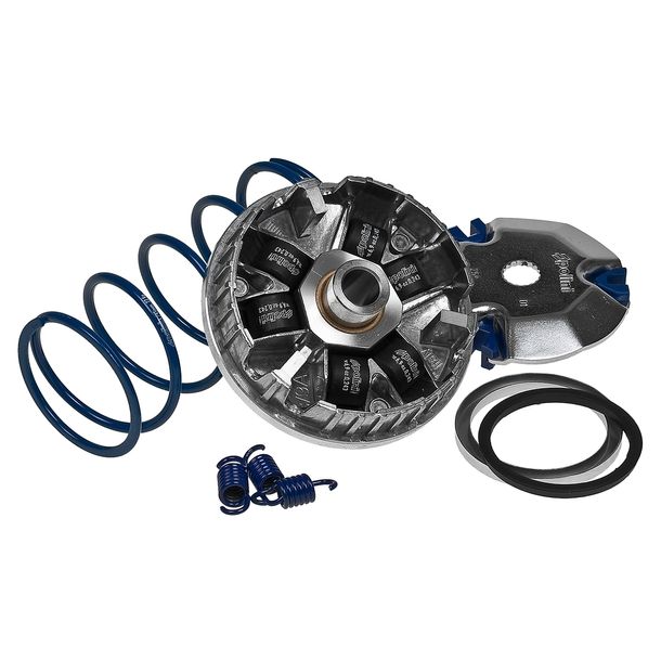 Variator Polini HI-SPEED Minarelli horizontal , 16x13mm 6,9gr, with Evo-Slider