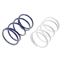 Gegendruckfedern Set, Polini für Honda-BSV-Cagiva-Kymco-Peugeot, PGO Big Max, PMX, Trex, Rodoshow