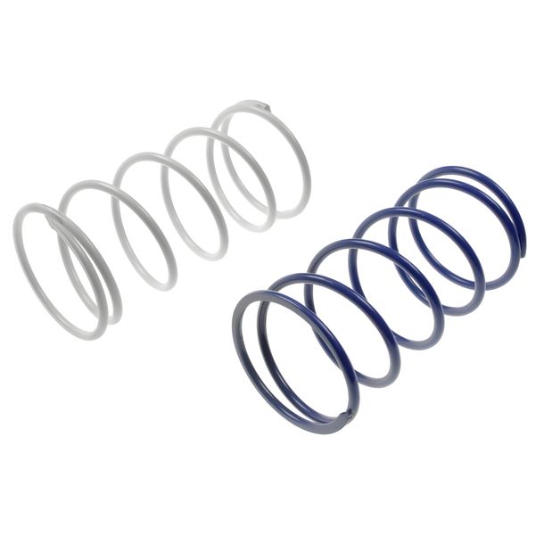 Backpressure springs kit Polini for Piaggio Zip (1st series), Sfera (1st series)