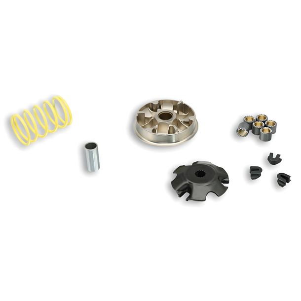 Variator Malossi Multivar 2000 für Aprilia Scarabeo 100,Benelli K2 100,MBK Booster 100,MBK Ovetto 100,Yamaha Aerox 100,BWs,N