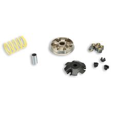 Variator Malossi Multivar 2000 voor Peugeot Speedfight, Elyseo, Trekker, Vivacity 100 (vanaf bouwjaar 9/99), Gewichten: 19x15,5mm - 11g voor Kat-modellen
