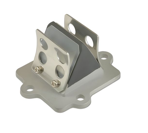 Reed Valve Motoforce RACING per Minarelli orizzontale / CPI