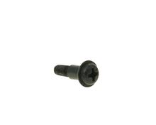 Schraube Vergaserdeckel GY6, 50ccm (139QMB / QMA), Kunstoff