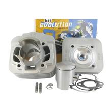 Polini Evolution cilinderkit 50cc, d=40,2 mm voor Piaggio/Gilera 50cc AC